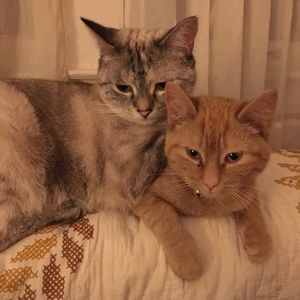 Meet your Posher, Natasha